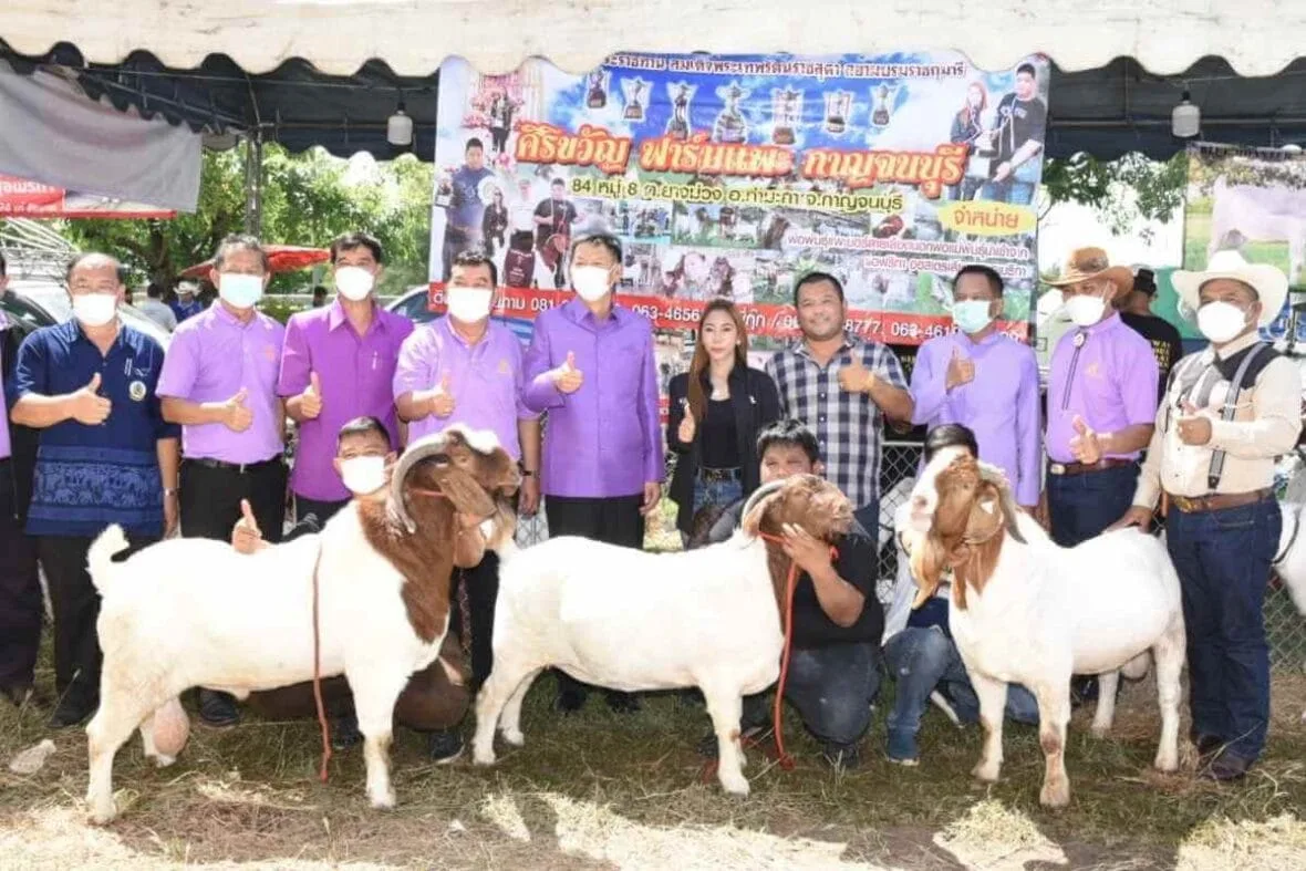 Winners of the Thailand Goat and Sheep Association or the Livestock Department show
